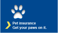 Pet Insurance - get your paws on it